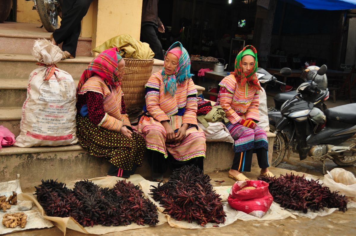 Hmong Ethnic Group Bac Ha Sunday Market